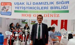 Uşak damızlık birliğinde mevcut yönetim 5. kez göreve seçildi