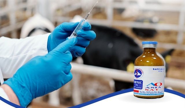 Uşak Tarım ve Orman Müdürlüğü’nden şap aşısı uyarısı