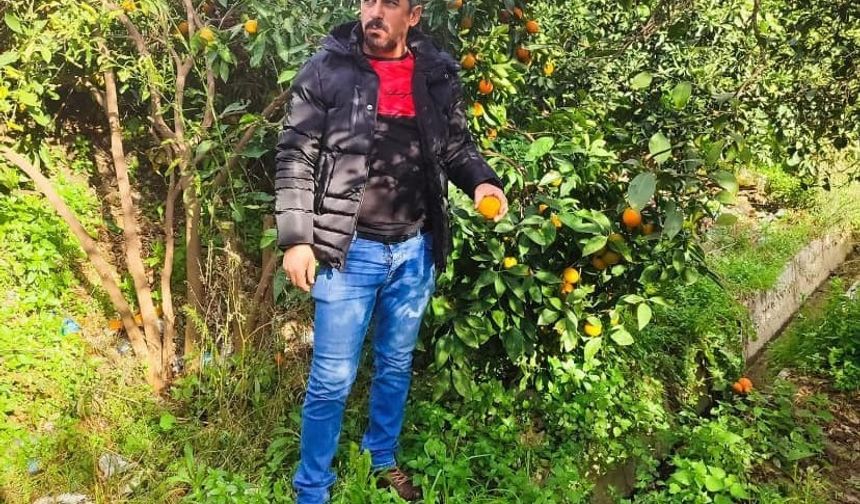 Kazadan dolayı hayatını kaybetti sanıldı: Otopside kafasından mermi çekirdeği çıktı