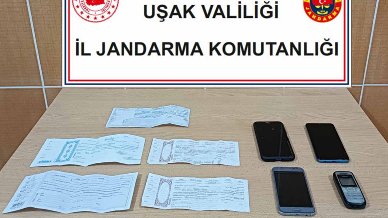 Tefecilik Operasyonu